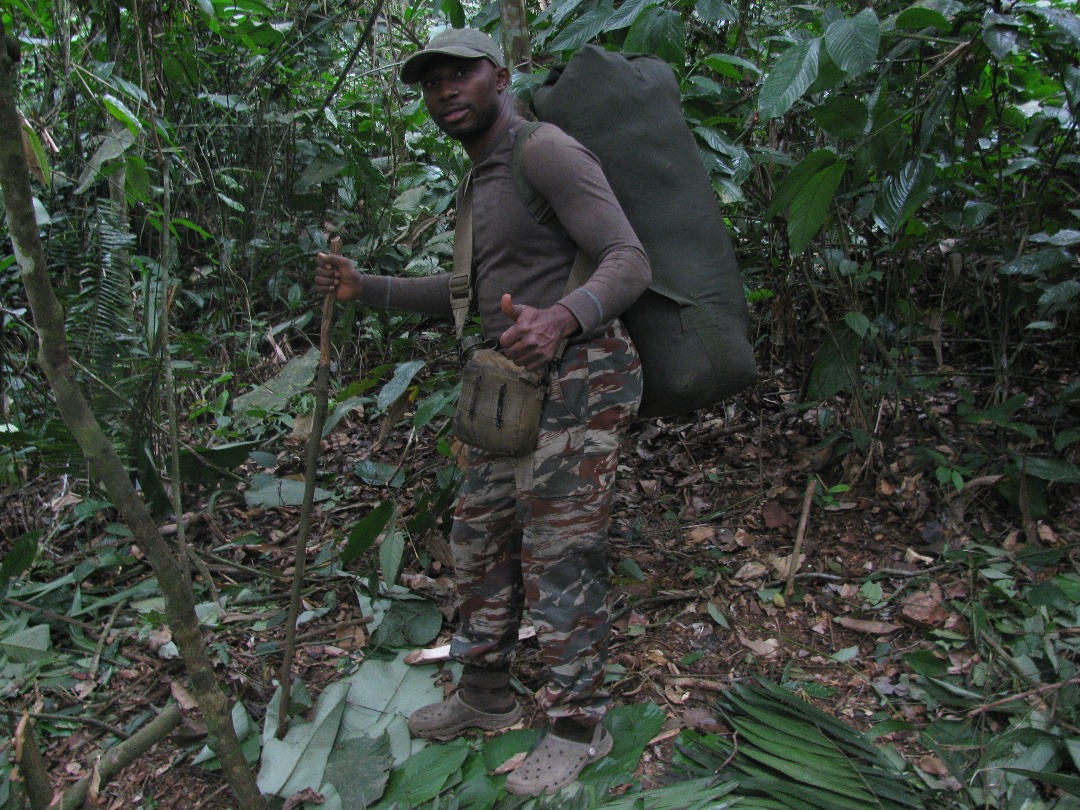 <strong>Nous protégeons la nature</strong>